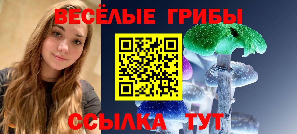 Галлюциногенные грибы Psilocybe  Вход с VPN  Норильск 
